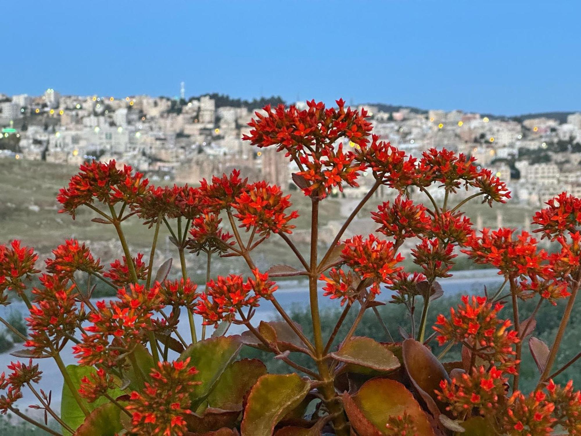 Jerash City View Jarash Luaran gambar